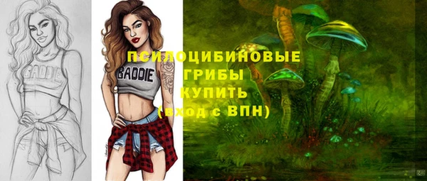 ECSTASY Краснослободск