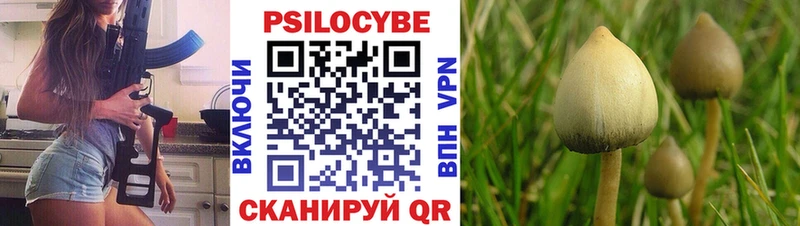 Псилоцибиновые грибы Psilocybine cubensis  KRAKEN как войти  Артёмовск  где можно купить  